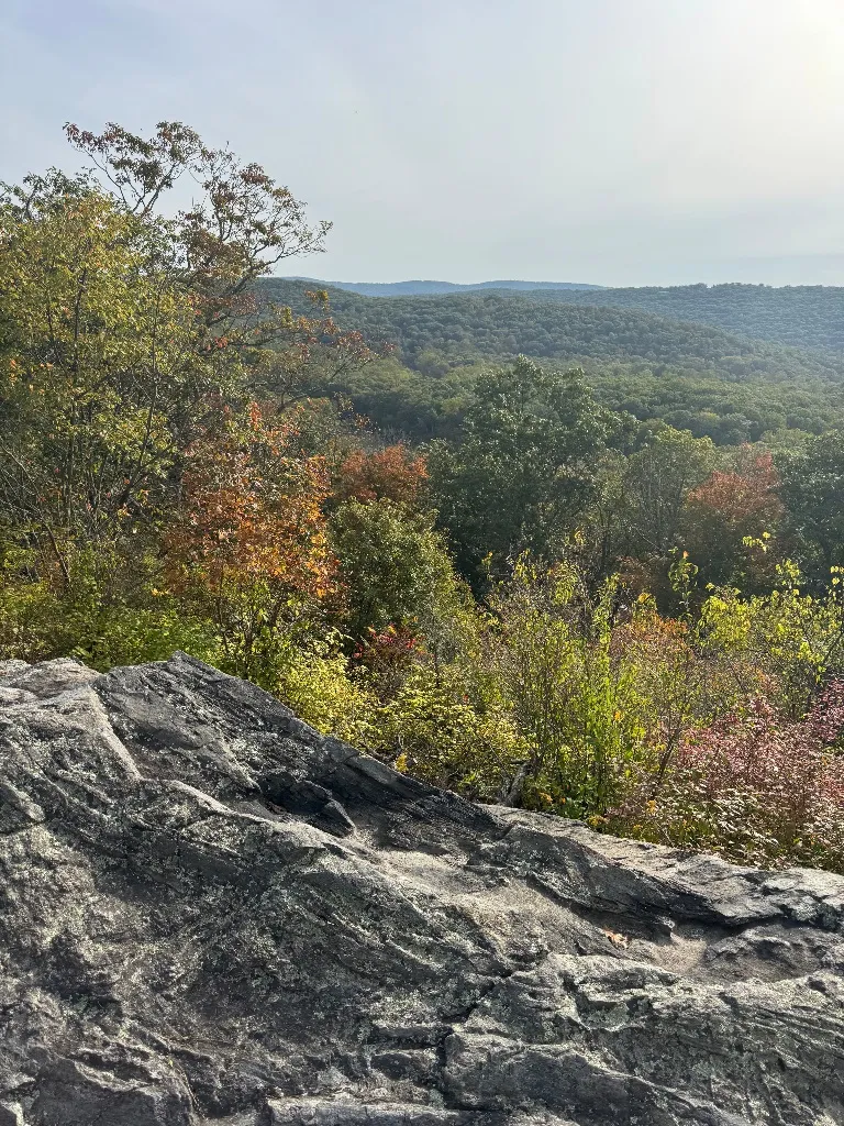 Retreat grounds and surrounding nature